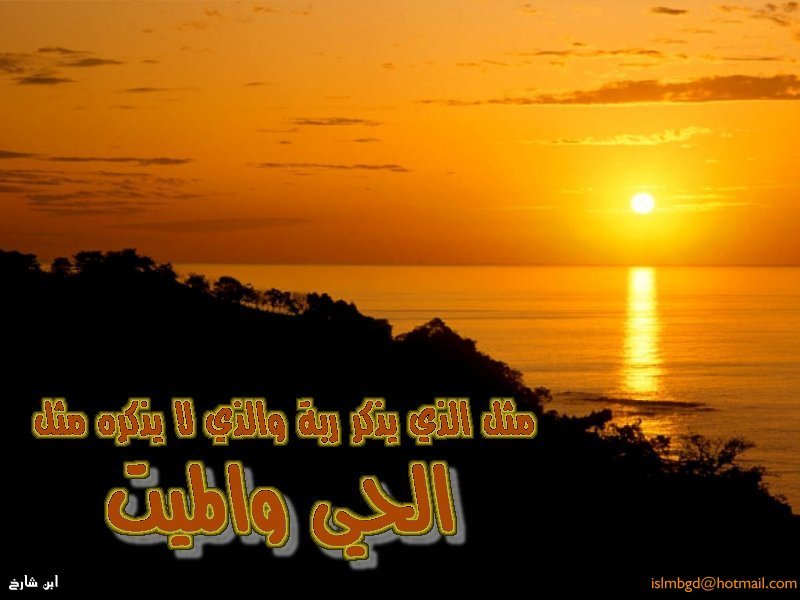خلفيات اسلامية(02)