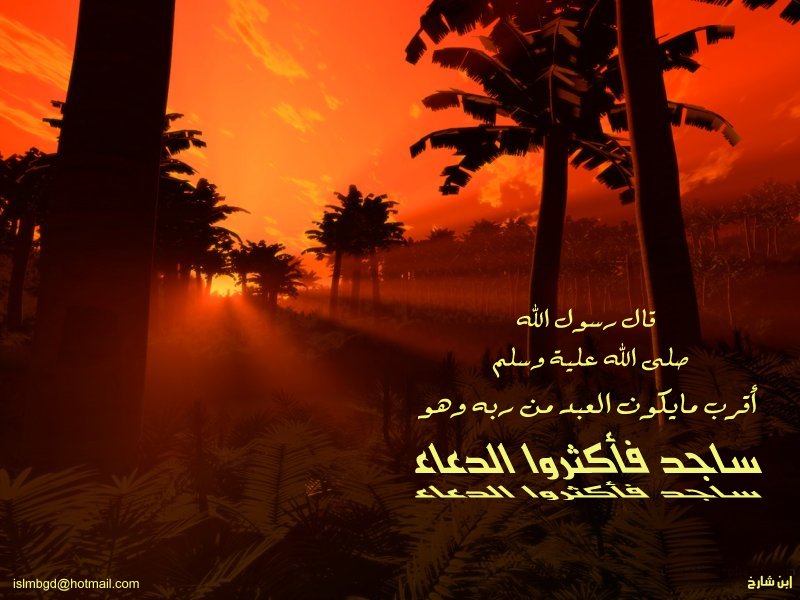 خلفيات اسلامية(12)
