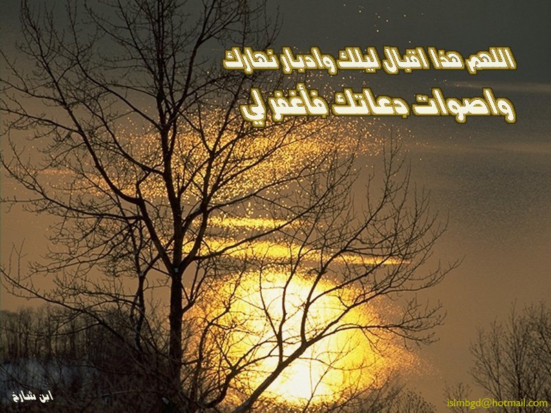 خلفيات اسلامية(13)