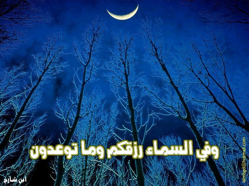 خلفيات اسلامية(23)