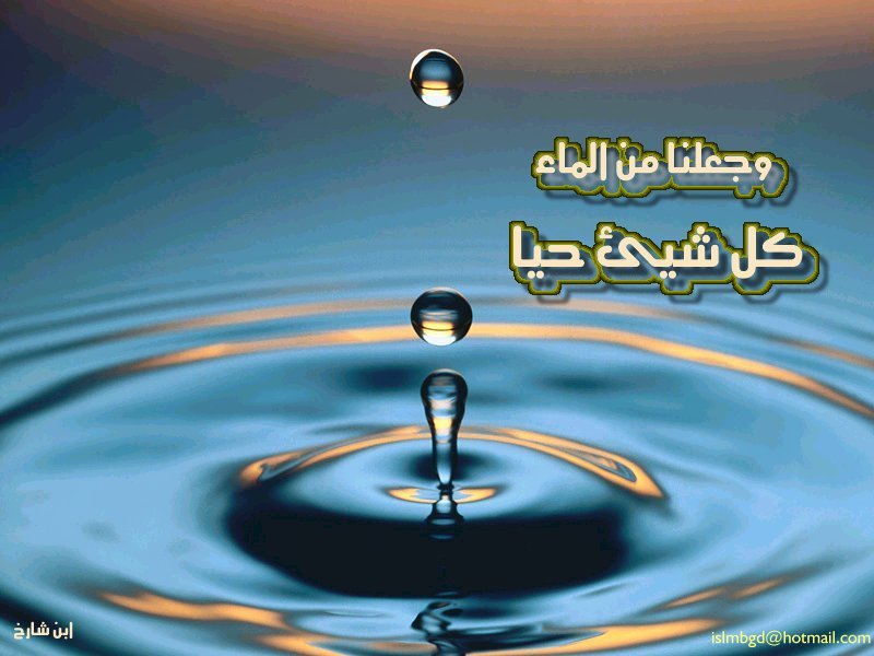 خلفيات اسلامية(24)