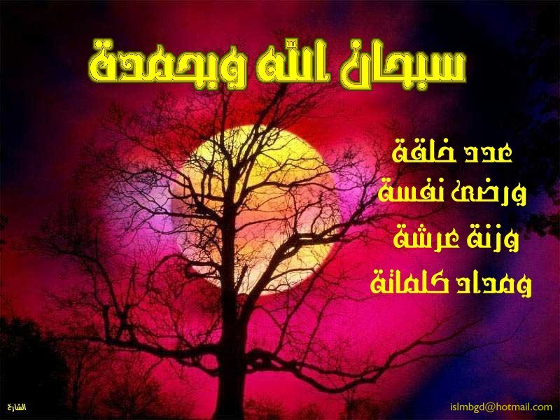 خلفيات اسلامية(31)