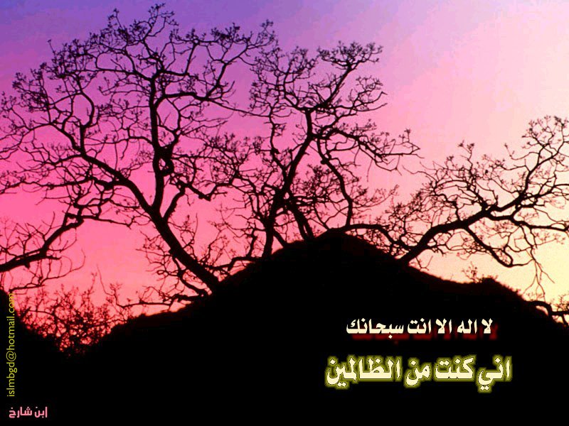 خلفيات اسلامية(36)
