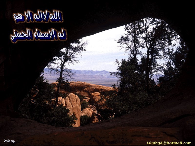 خلفيات اسلامية(40)
