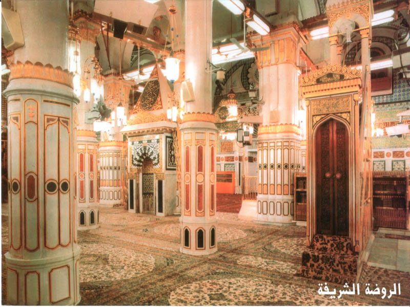 Rawda800 600